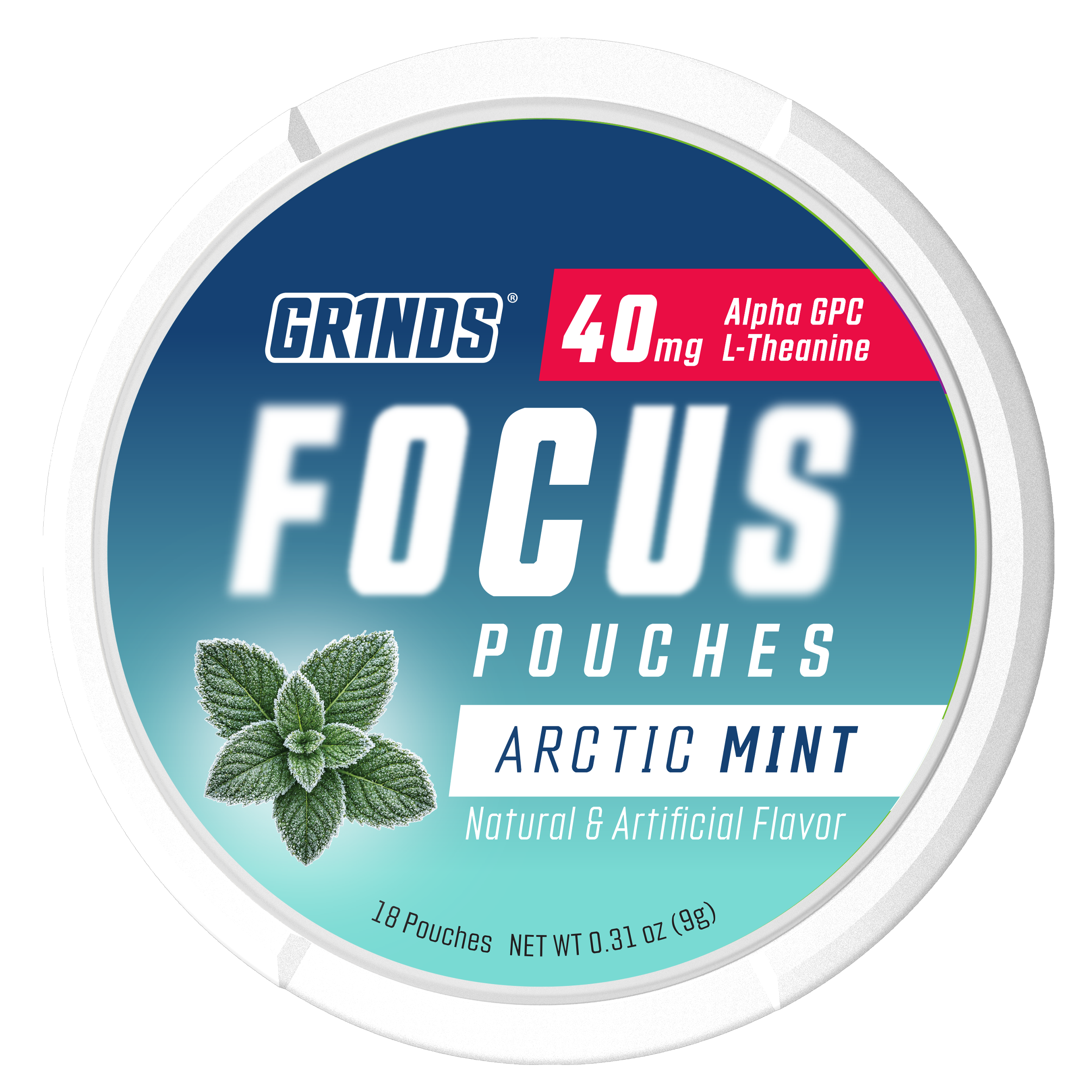Grinds Arctic Mint | Nootropic | #1 Alternative Pouch Brand