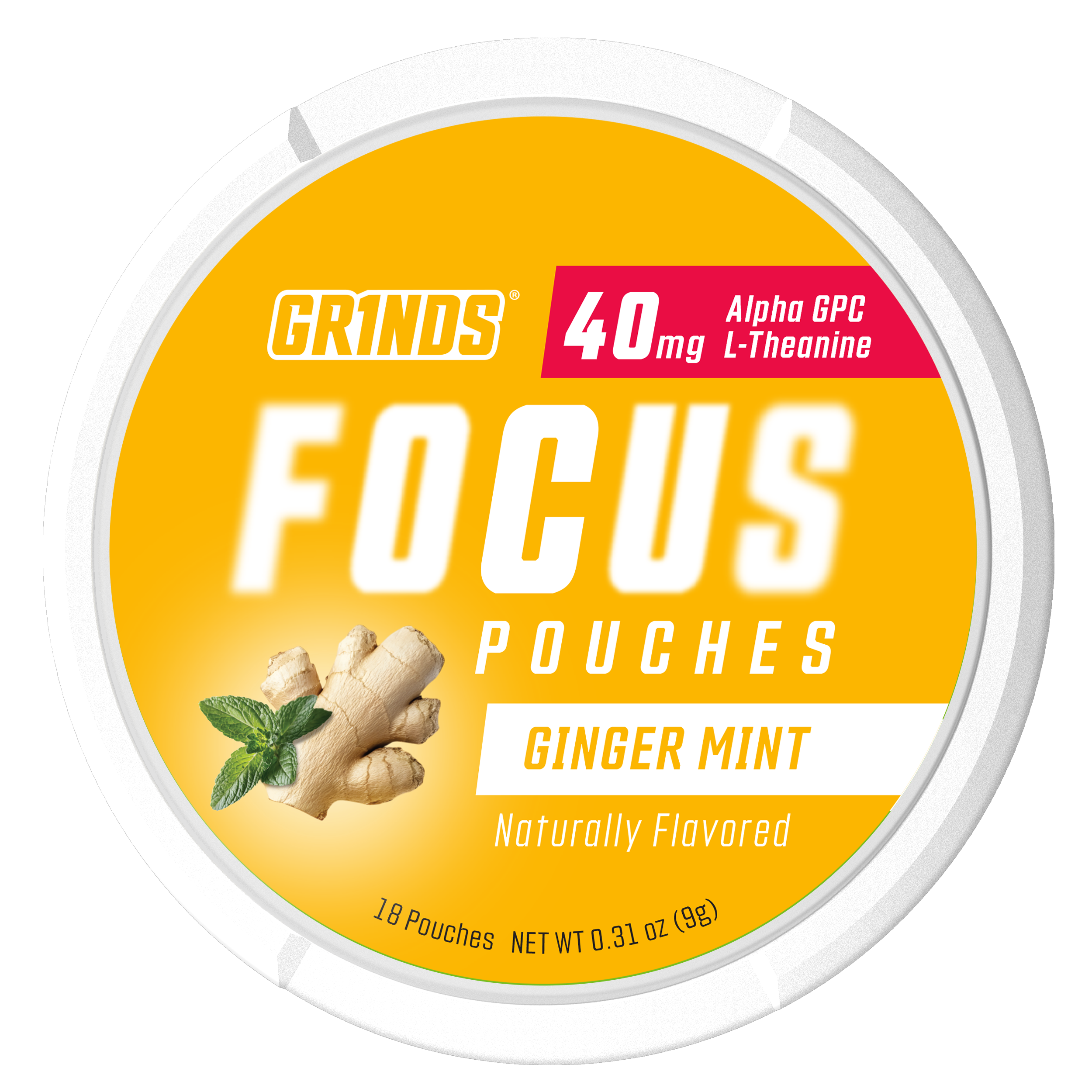 Grinds Ginger Mint | Nootropic | #1 Alternative Pouch Brand